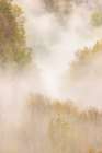 Mist rising from tapestry of blooming trees in spring-Great Smoky Mountains NP-NC Art Print